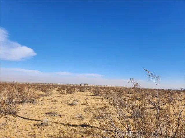 0 Ducor, Landers, CA 92285 - Image #2