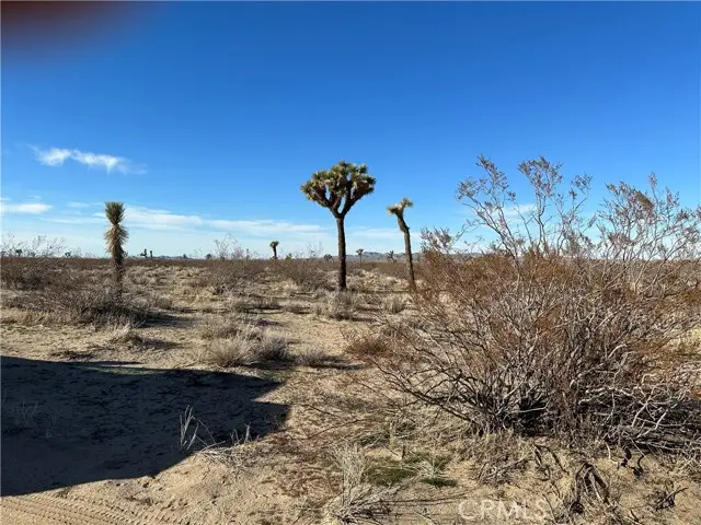 8 Desert Flower, Victorville, CA 92394 - Image #3