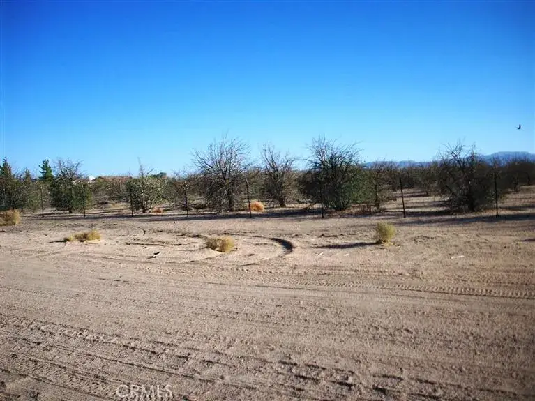 45527 Twin Lakes, Newberry Springs, CA 92365 - Image #2
