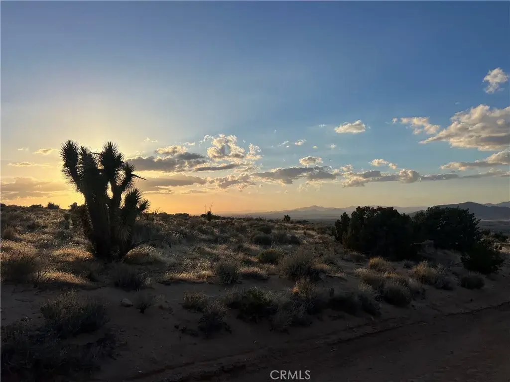 3 Ocotillo, Apple Valley, CA 92308 - #1