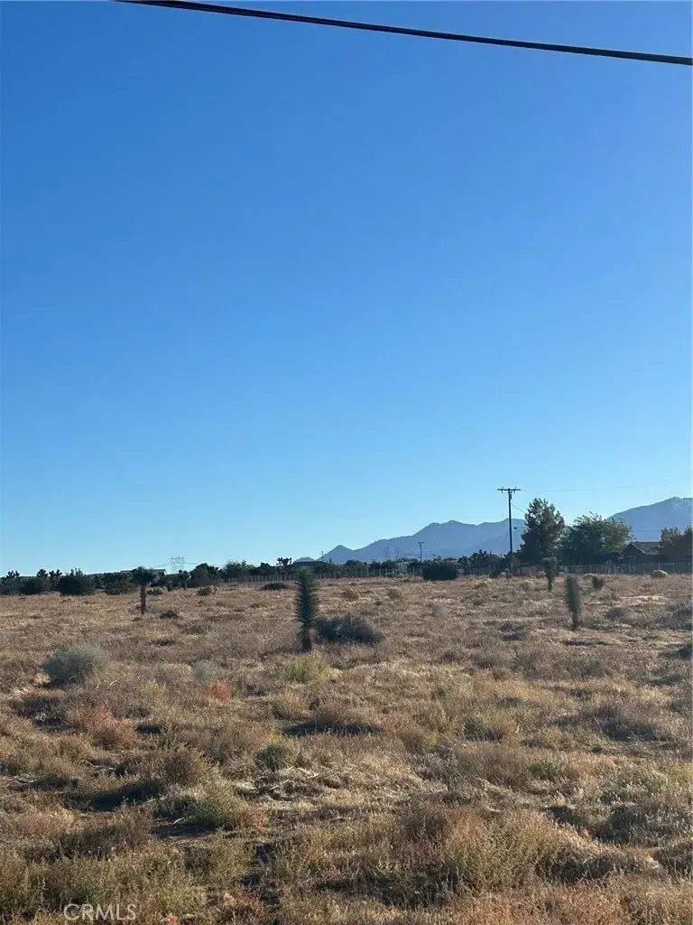 0 Locust, Pinon Hills, CA 92372 - Image #2