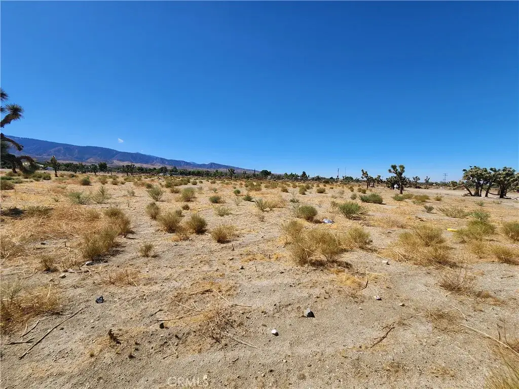 11226 Primavera, Pinon Hills, CA 92372 - Image #1