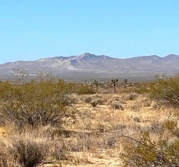 1 Shelby, Helendale, CA 92342