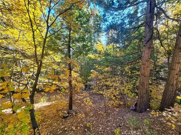 0 Brentwood, Lake Arrowhead, CA 92352