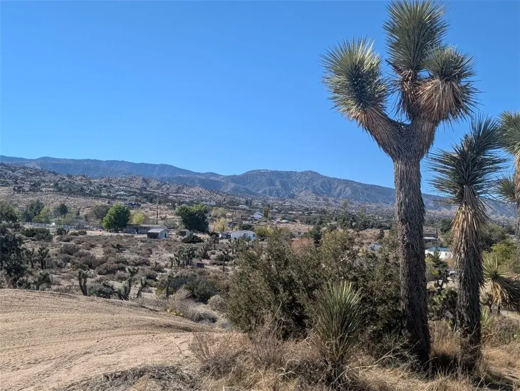 0 Malpaso, Phelan, CA 92371 - #1