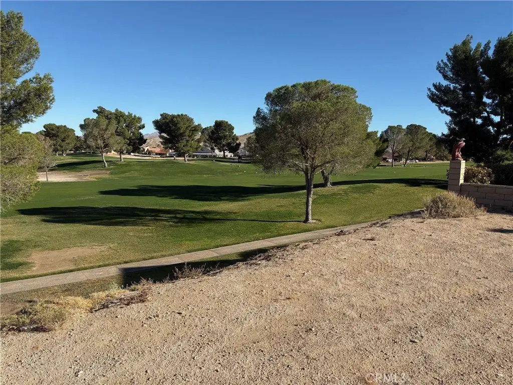 27449 Lakeview, Helendale, CA 92342 - #1