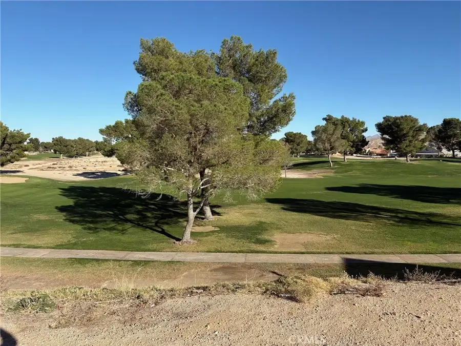 27449 Lakeview, Helendale, CA 92342 - #2