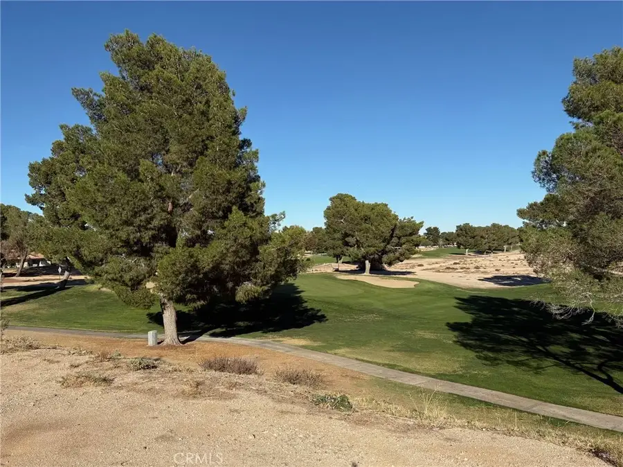 27449 Lakeview, Helendale, CA 92342 - #3