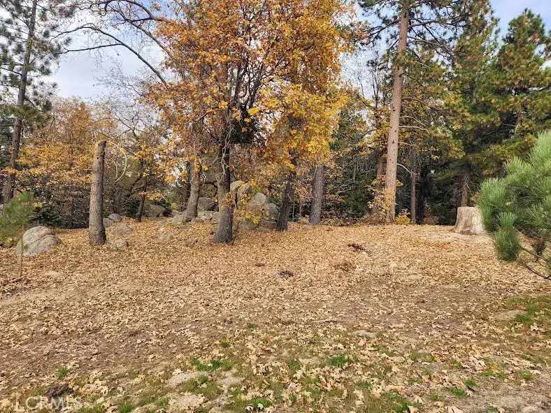 32240 Whisper, Running Springs, CA 92382 - #1