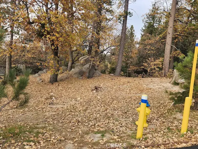 32240 Whisper, Running Springs, CA 92382 - #2