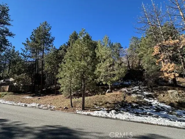 0 Flume Canyon, Wrightwood, CA 92397 - Image #2