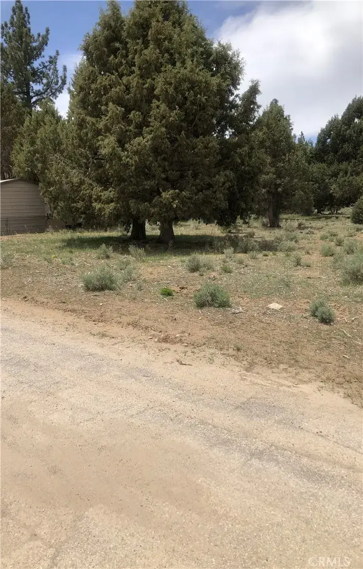 0 West, Big Bear City, CA 92314 - #3