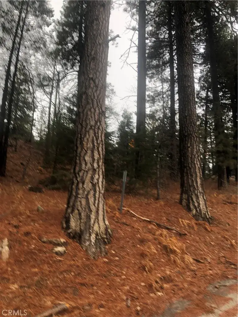 0 Loma, Running Springs, CA 92382 - #2