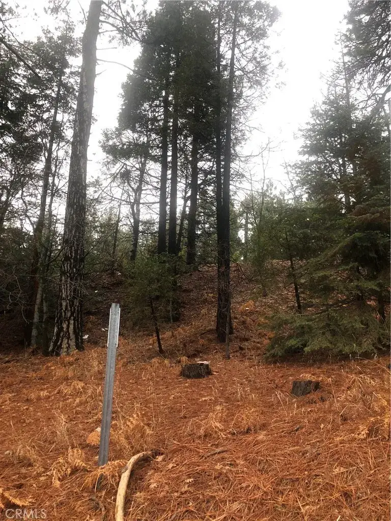 0 Loma, Running Springs, CA 92382 - #3