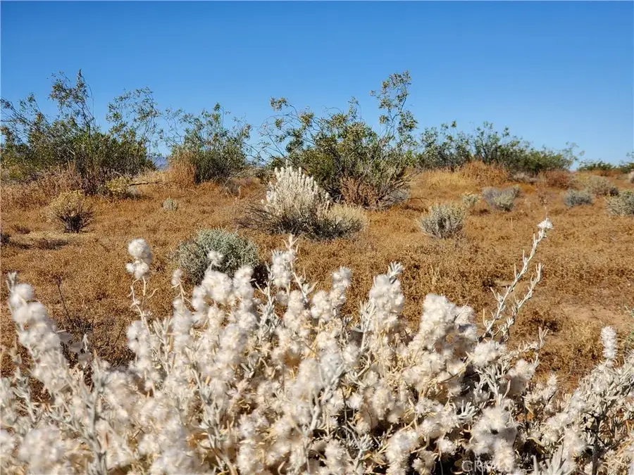 2 Ave L12, Lake Los Angeles, CA 93535 - #2