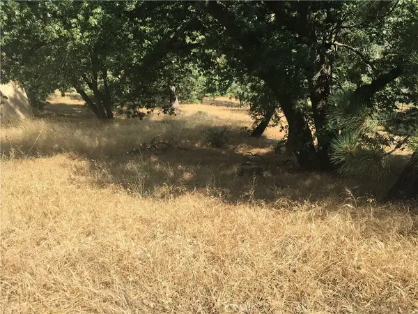 30481 Live Oak, Running Springs, CA 92382