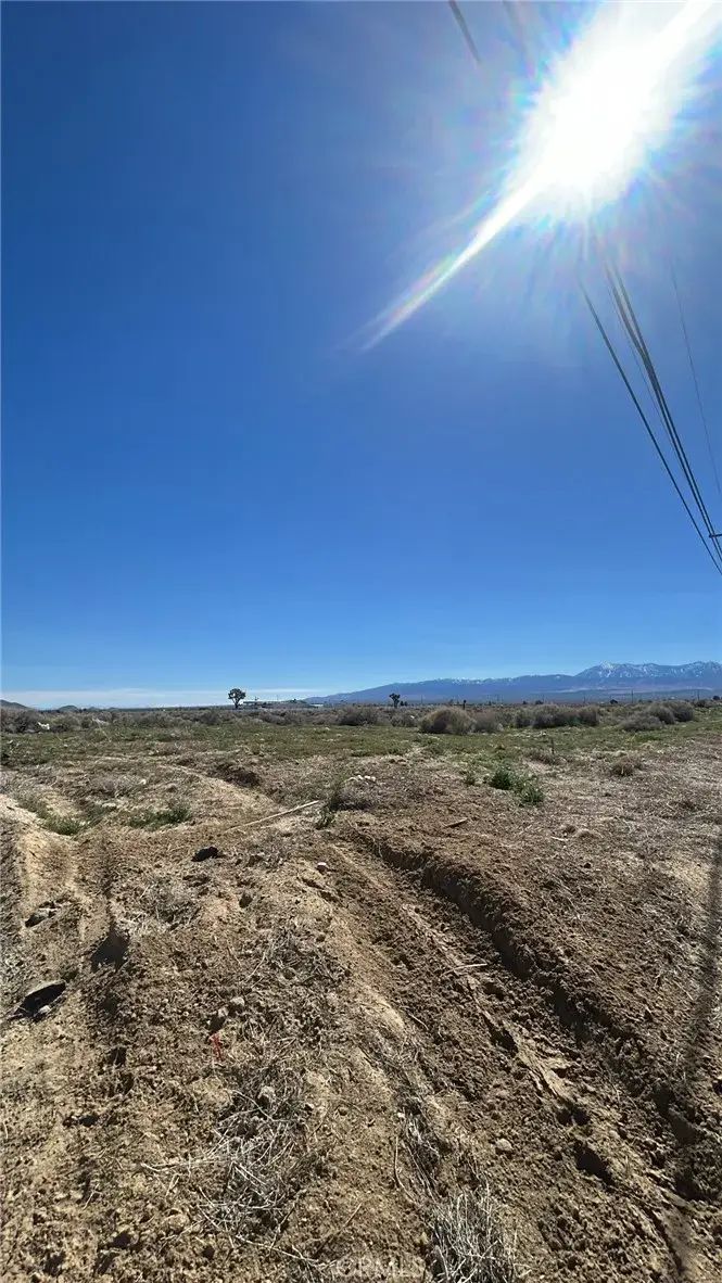 170 Avenue O, Lake Los Angeles, CA 93591 - #2