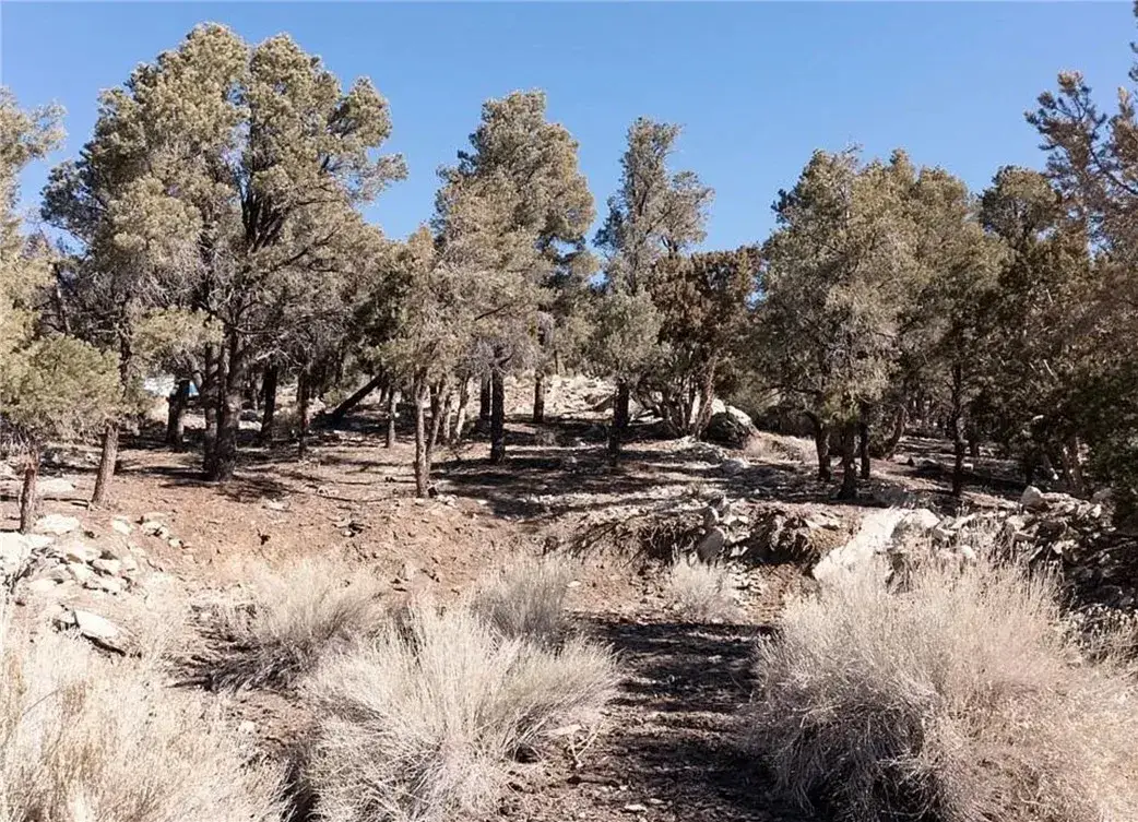 0 Lakeview, Big Bear City, CA 92314 - #1