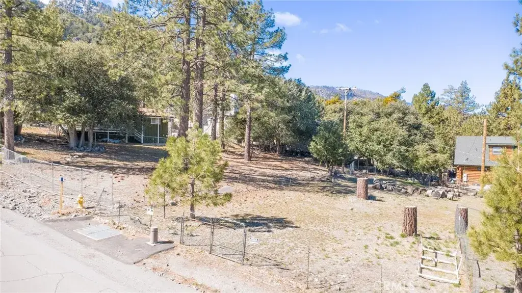 5370 Desert View, Wrightwood, CA 92397 - #1