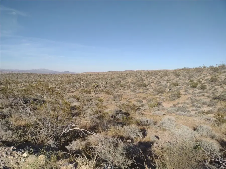 15 Camp Rock, Lucerne Valley, CA 92356 - #2