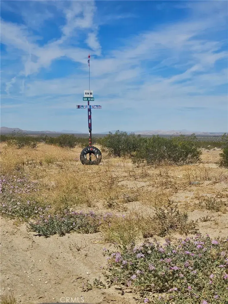 0 Covelo, Johnson Valley, CA 92285 - #3