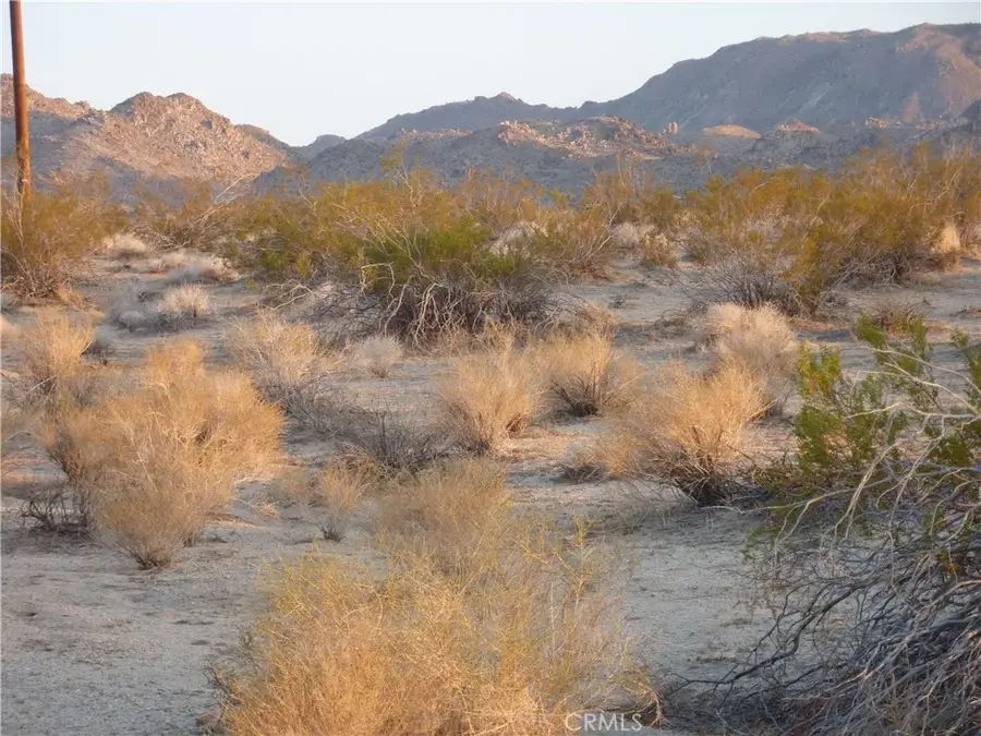 774 Manzanita, Johnson Valley, CA 92285 - #3