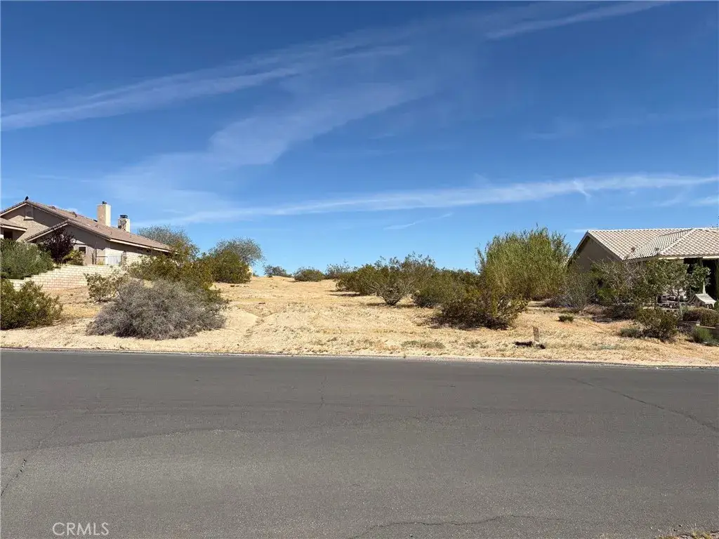 26660 Lakeview, Helendale, CA 92342 - #1