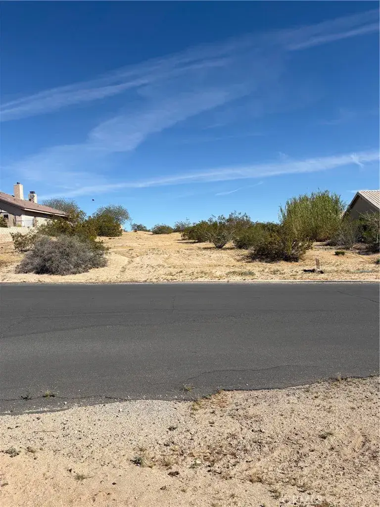 26660 Lakeview, Helendale, CA 92342 - #2