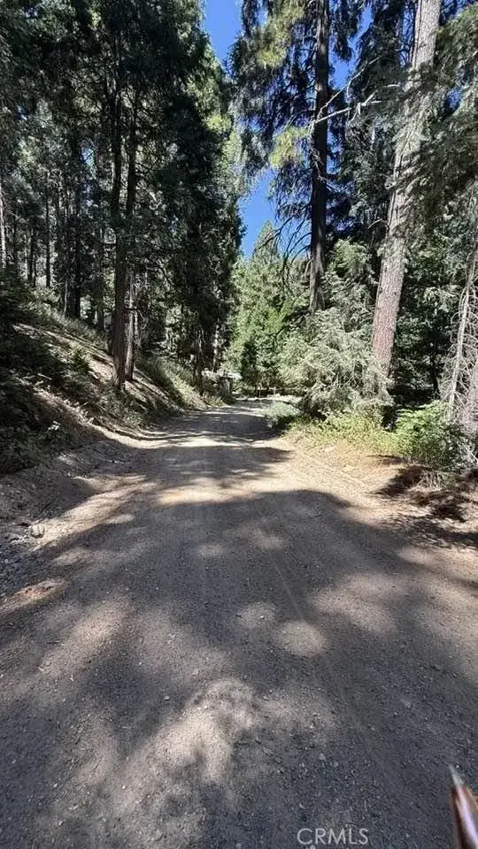 34207243 Mojave River Rd., Cedarpines Park, CA 92322