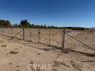 34653 Purple Sage, Newberry Springs, CA 92365 - #1