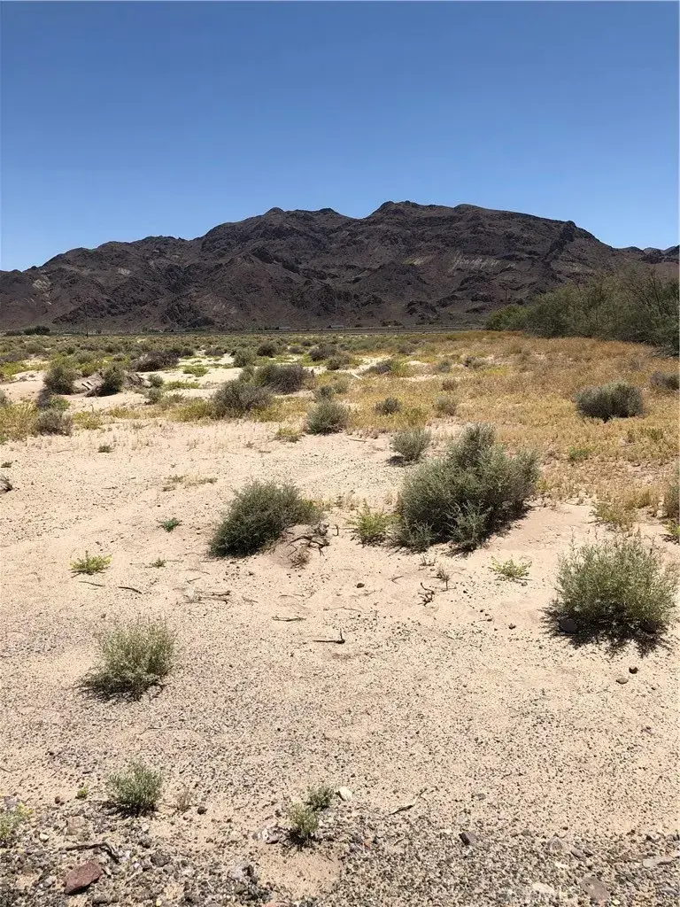 44325 Temescal St, Newberry Springs, CA 92365 - #3