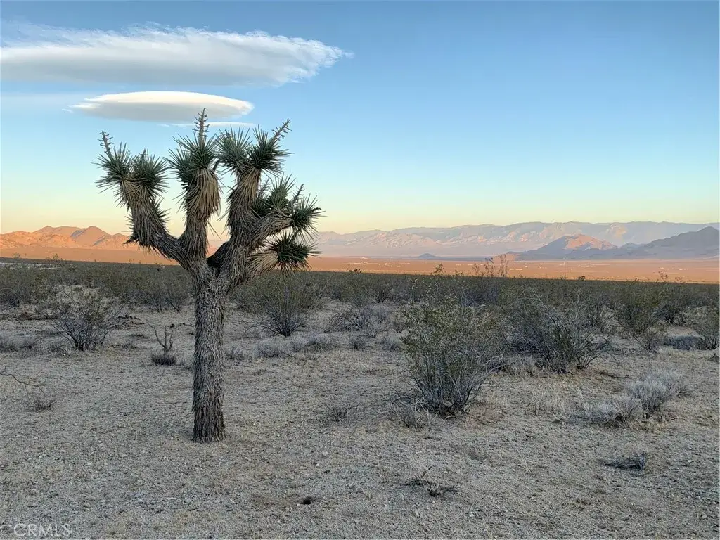 0 Vl Near Lucerne Valley Cutoff, Barstow, CA 92311 - #1