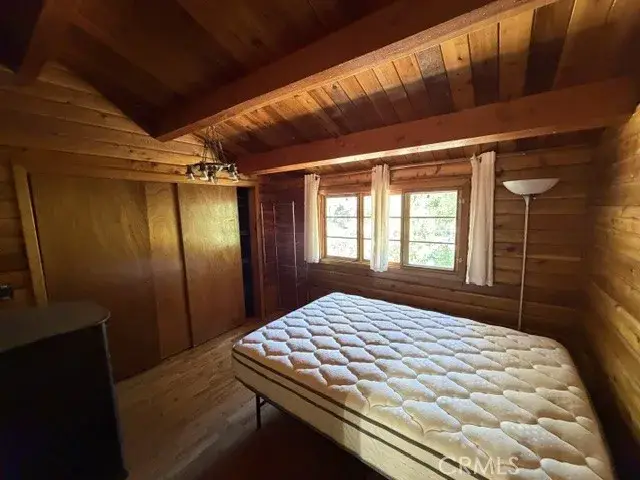 531 Mountain View, Wrightwood, CA 92397 - #3