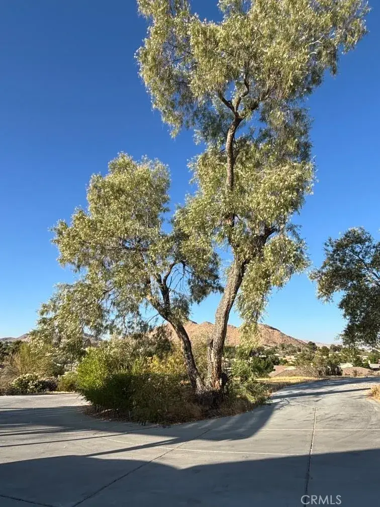 15492 Lenca, Apple Valley, CA 92307 - #3