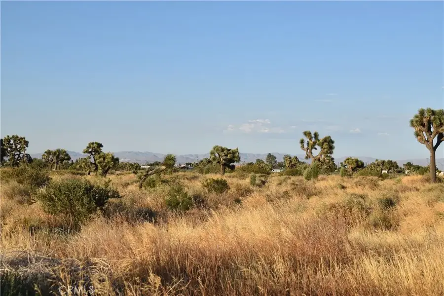 0 Joshua, Victorville, CA 92392 - #2