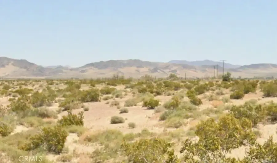 49800 Riverside, Newberry Springs, CA 92365 - #3
