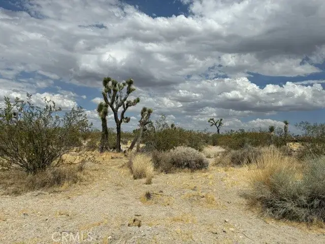 0 Ste/vic, Llano, CA 93591 - #1