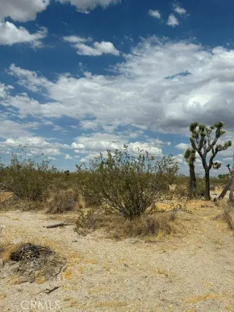 0 Ste/vic, Llano, CA 93591 - #2