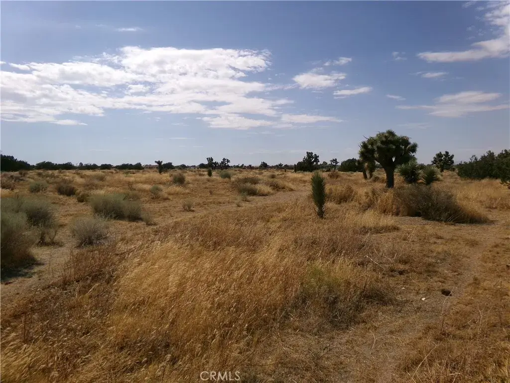 0 Phelan Road, Phelan, CA 92371 - #1