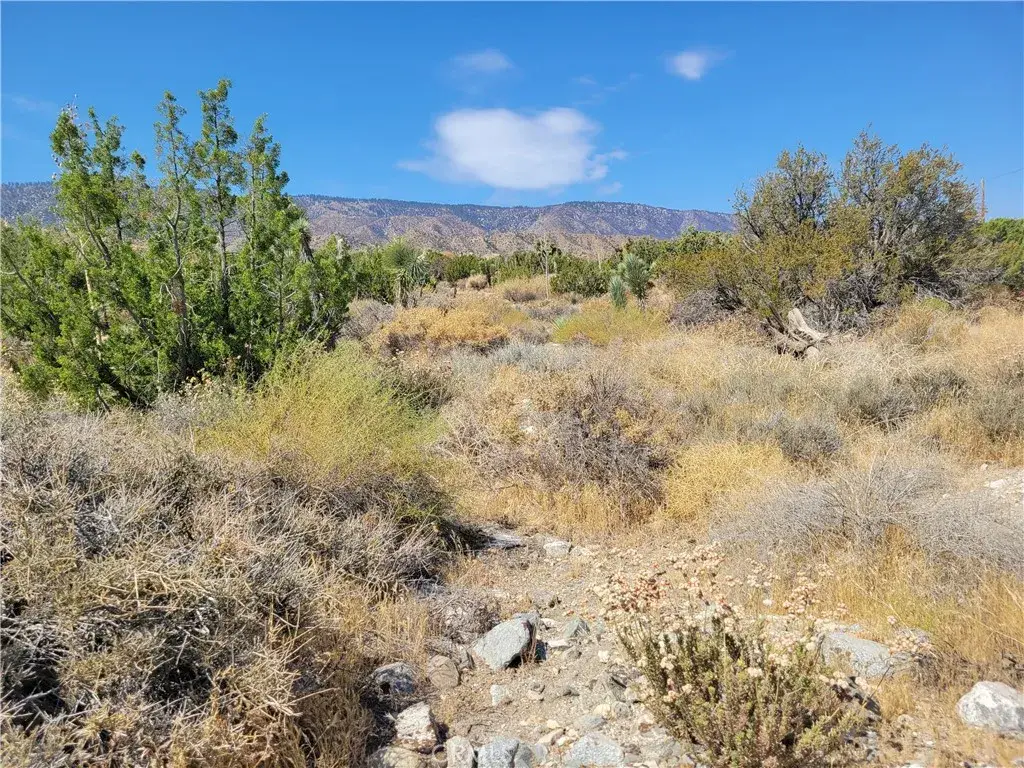 0 Tamarack, Pinon Hills, CA 92372 - #1