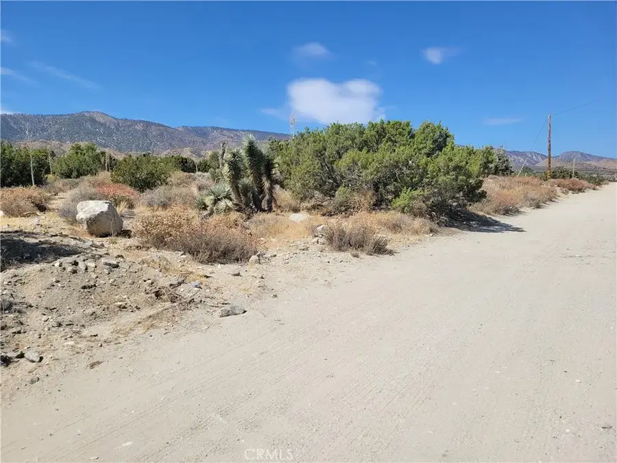 0 Tamarack, Pinon Hills, CA 92372 - #2