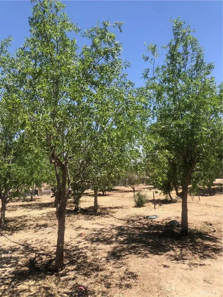 32726 Agate, Lucerne Valley, CA 92356 - #1