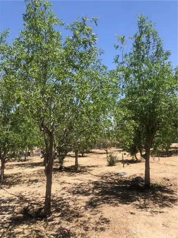 32726 Agate, Lucerne Valley, CA 92356