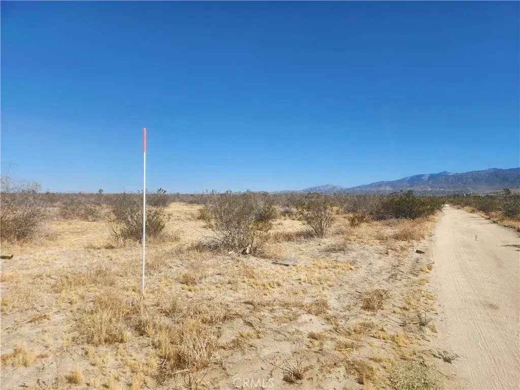 40 Pomona, Pinon Hills, CA 92372 - #1