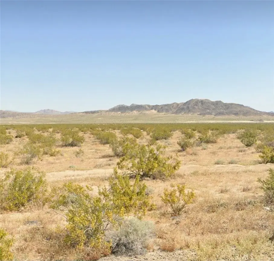 800 Firethorn Way (near), Johnson Valley, CA 92285 - #1