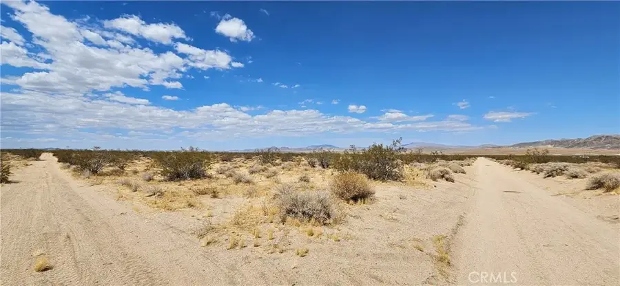 800 Firethorn Way (near), Johnson Valley, CA 92285 - #3