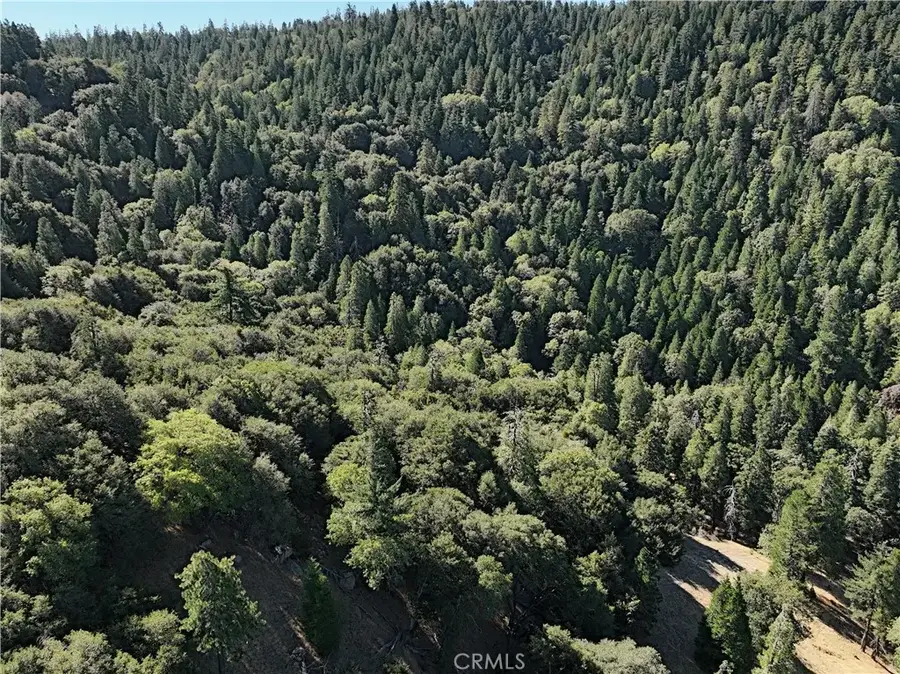 756 Mojave River (near), Cedarpines Park, CA 92322 - #3