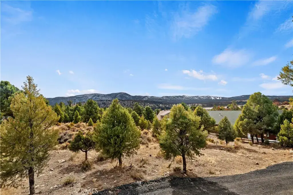 0 Sunny Slope, Big Bear City, CA 92314 - #1