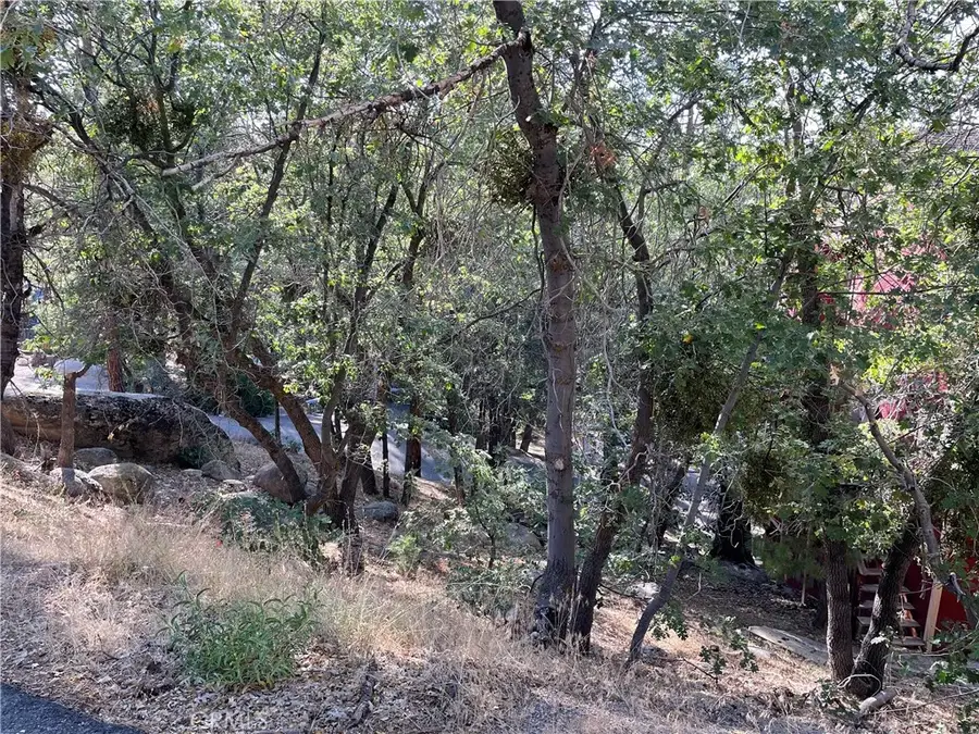 24 Lot 24 Conway, Running Springs, CA 92382 - Image #2