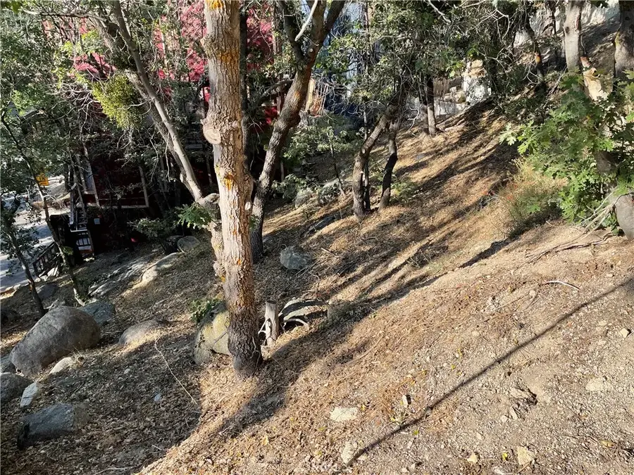 24 Lot 24 Conway, Running Springs, CA 92382 - Image #3